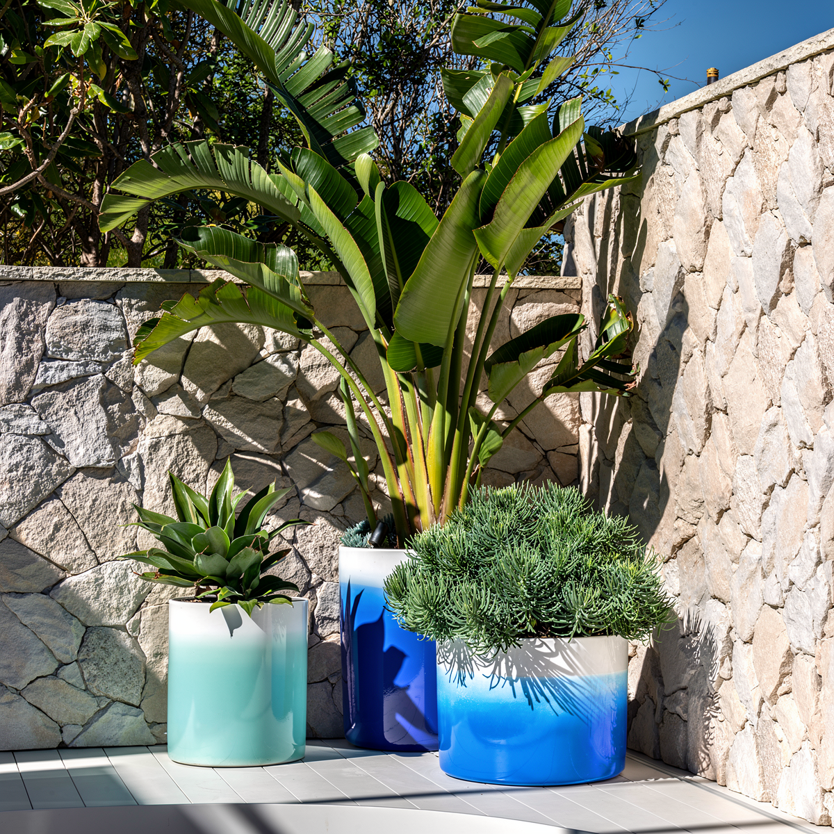 Fade Cylinder planters by TIBA-TIBA – Group of three blue and turquoise planters with tropical plants outdoors against a geometric stone wall. 