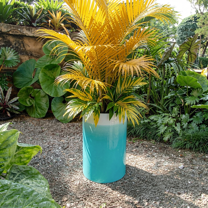 Fade Cylinder planter by TIBA-TIBA – Tall turquoise gradient to white planter with tropical fern plants outdoors in a Balinese garden. 