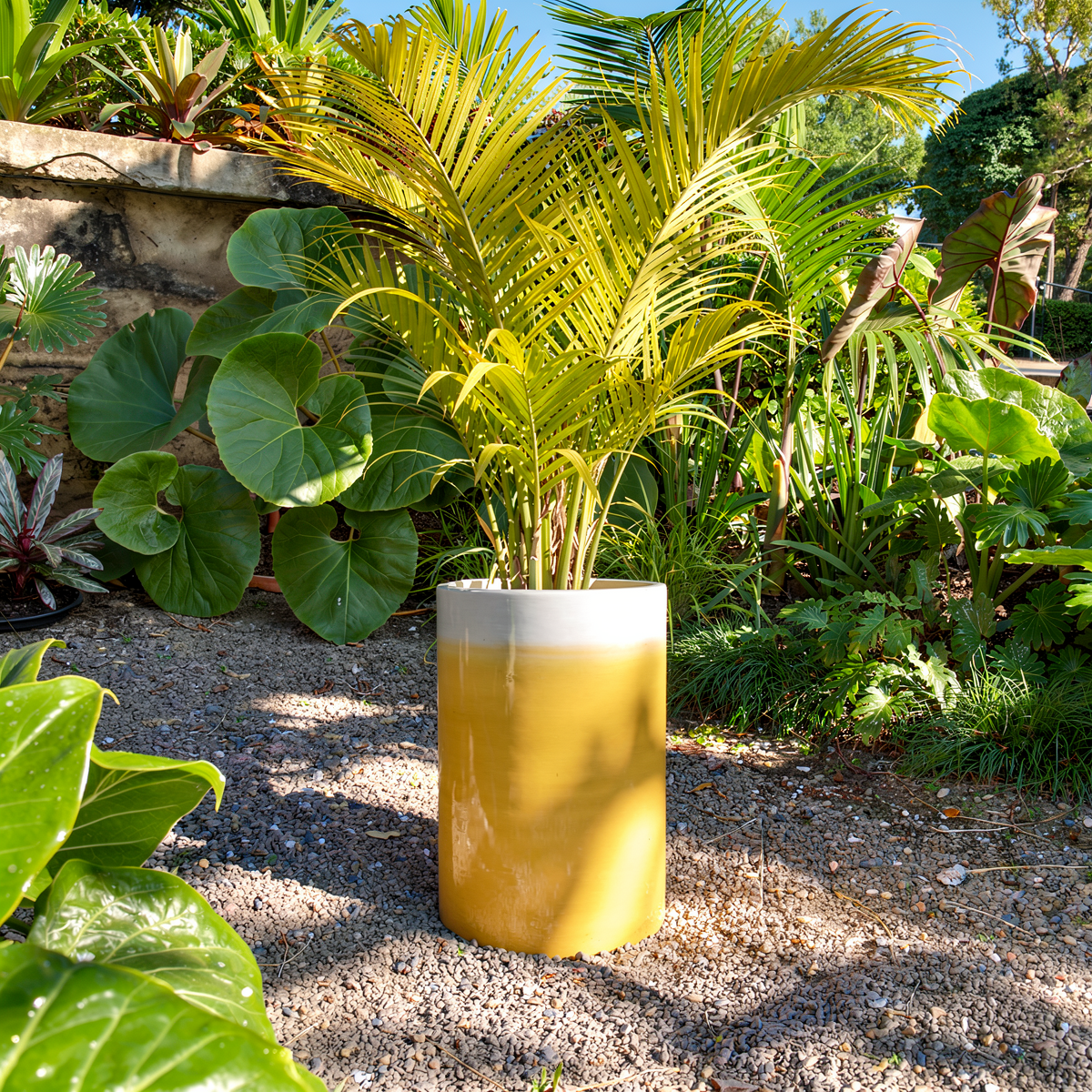 Fade Cylinder planter by TIBA-TIBA – Tall yellow ombre to white planter with tropical fern plants in a Balinese garden. 