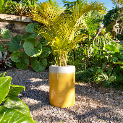 Fade Cylinder planter by TIBA-TIBA – Tall yellow ombre to white planter with tropical fern plants in a Balinese garden. 