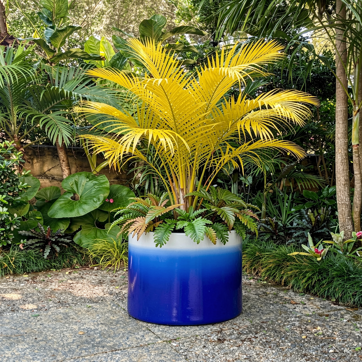 Fade Cylinder planter by TIBA-TIBA – Large wide dark blue ombre to white planter with tropical fern plants in a Balinese garden. 