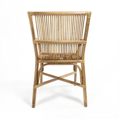 Ro-Di-O Dining Chair by TIBA-TIBA – handcrafted Indonesian natural rattan dining chair with arms and modern minimalist frame. Rear view.