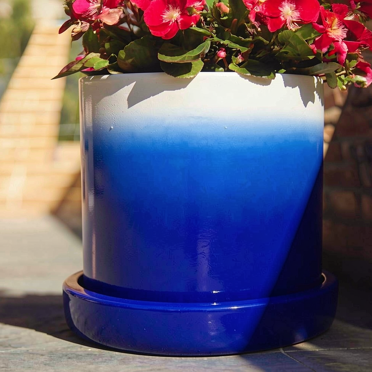 Fade Planter and Tatakan Plant Saucer by TIBA-TIBA - A dark blue ombre planter with a dark blue matching ceramic drip tray on an outdoor table with pink flowers. 