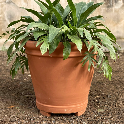 Po-Ka Pot feet by TIBA-TIBA - terracotta triangle pot feet under a terracotta planter filled with tropical foliage. 
