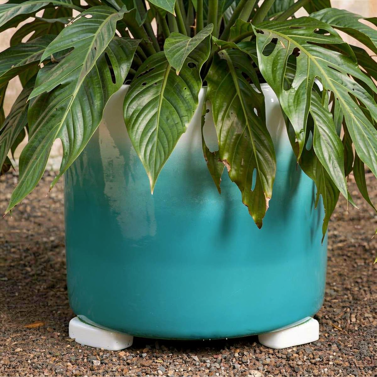 Po-Ka Pot feet by TIBA-TIBA - glazed white ceramic pot foot under turquoise Fade Pot by TIBA-TIBA.